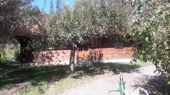 Photo of Others in Kraljevec na Sutli
