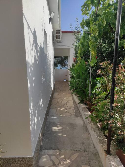 Photo of Buildings in Businci
