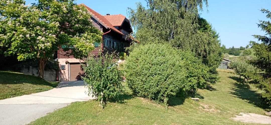 Photo of Others in Radoboj