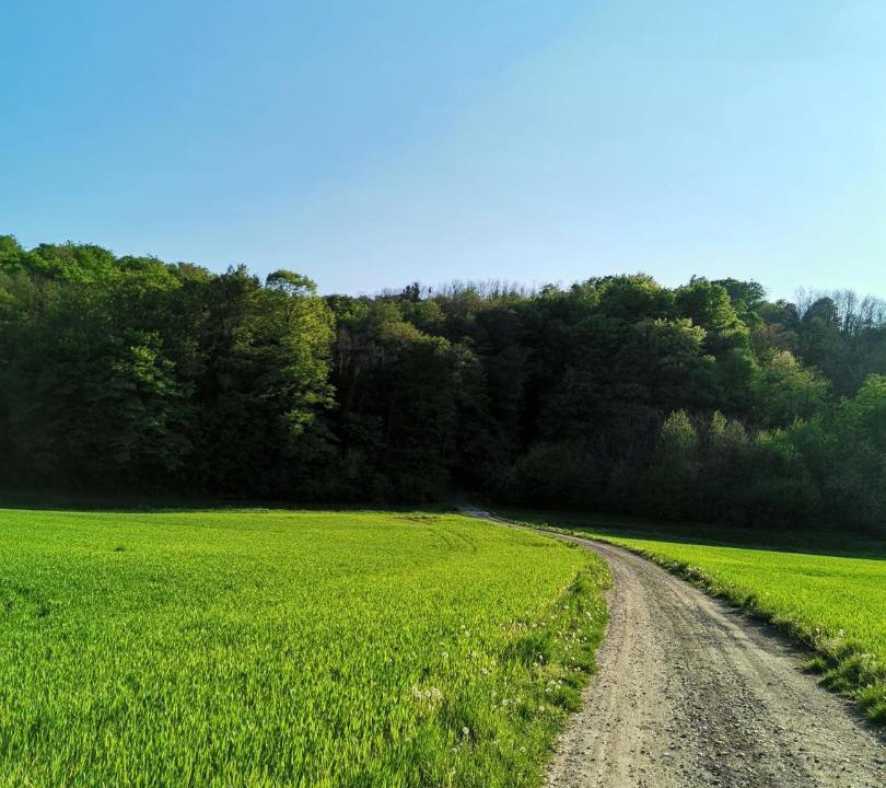 Photo of Others in Koprivnica