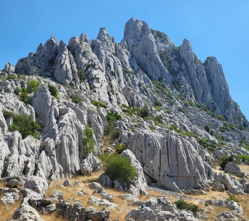 Photo of Others in Maslenica