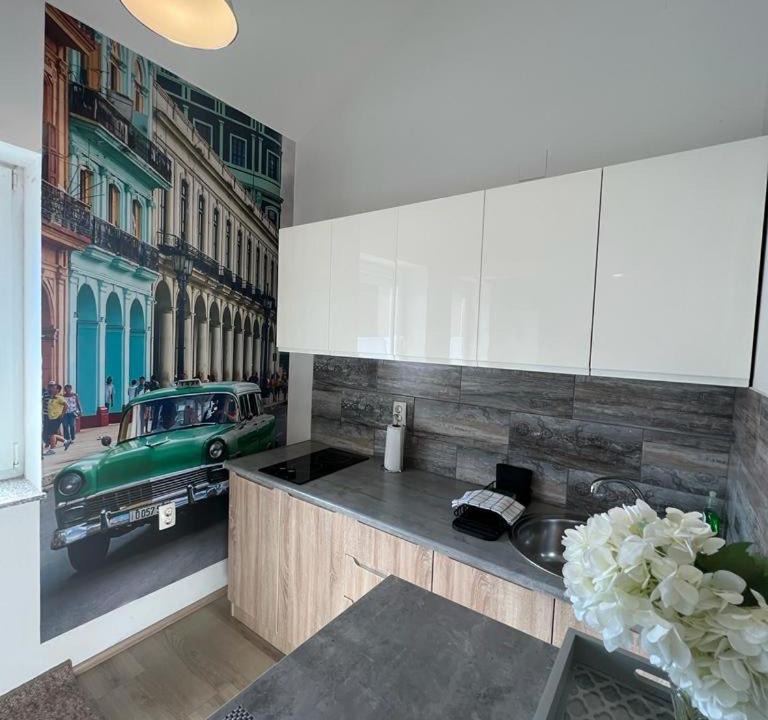 Photo of Kitchen in Osijek