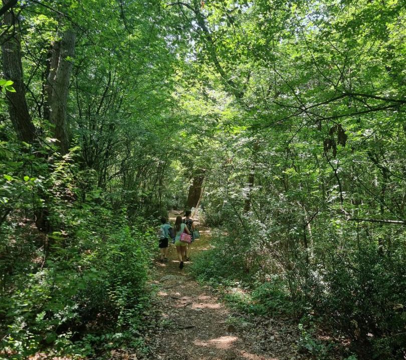Photo of Others in Njivice