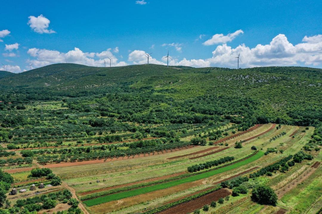 Photo of Others in Krusevo
