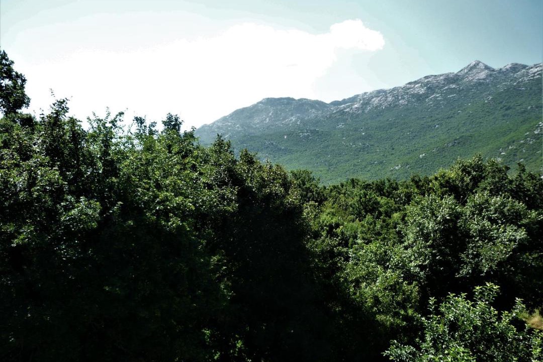 Photo of Others in Dugopolje