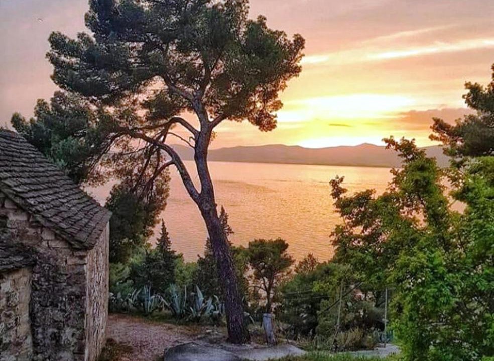 Photo of Others in Cove Osibova (Milna)