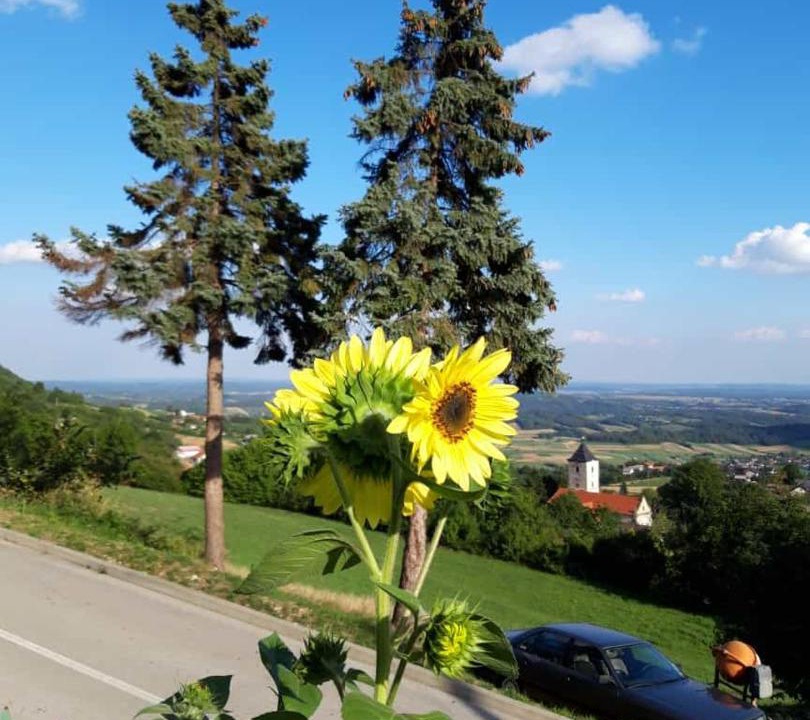 Photo of Others in Kalnik