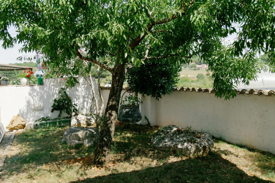 Photo of Others in Jasenovica
