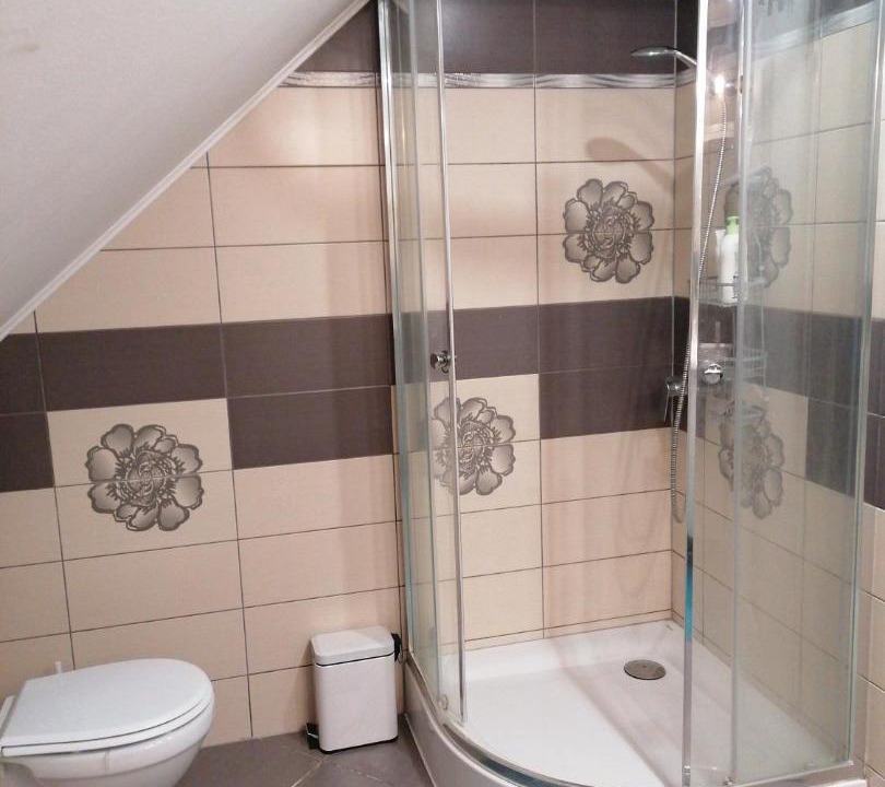 Photo of Bathroom in Siculeni