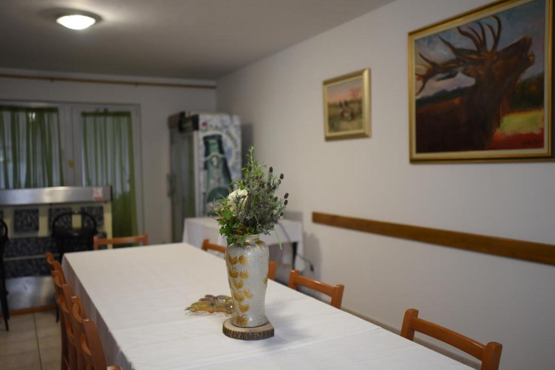 Photo of Kitchen in Zupanja