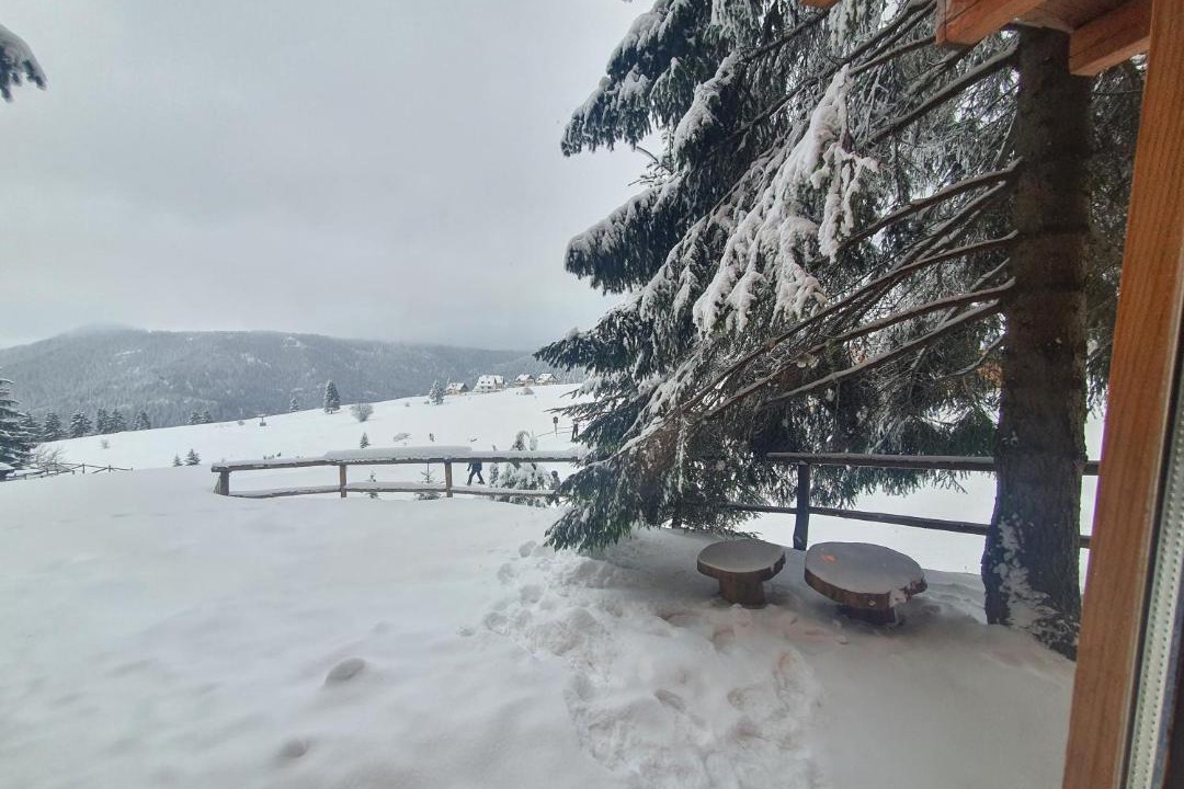 Photo of Others in Babanovac