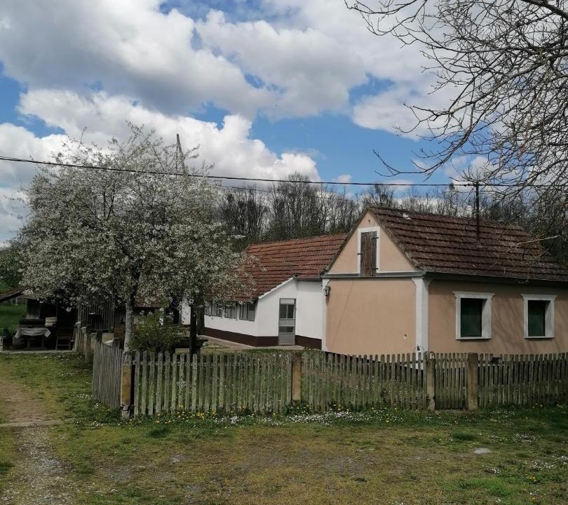Photo of Others in Babina Greda
