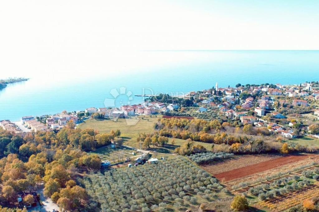 Photo of Outdoor in Lovrecica