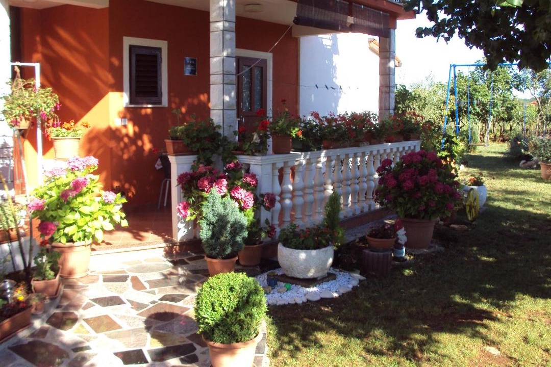 Photo of Others in Umag