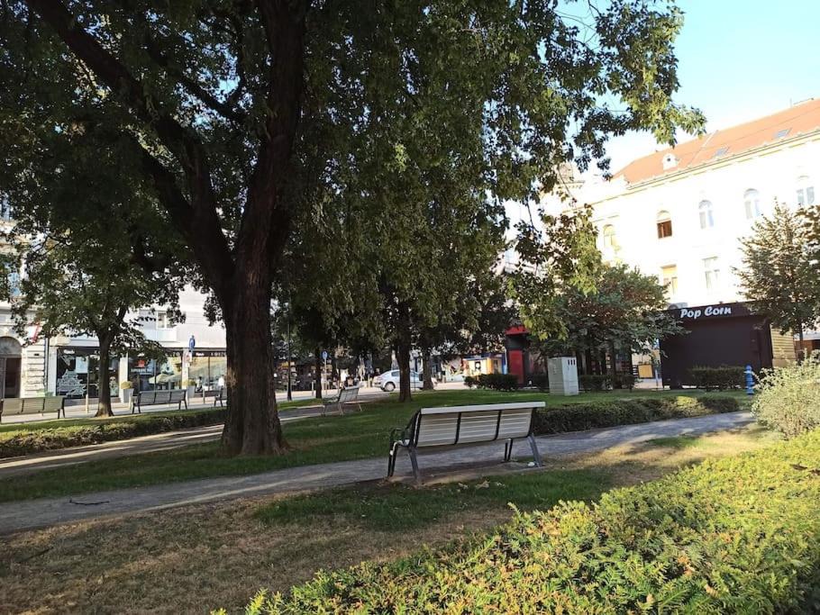 Photo of Others in Osijek