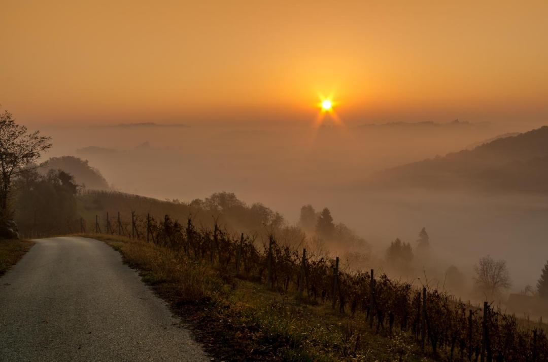 Photo of Others in Krapinske Toplice