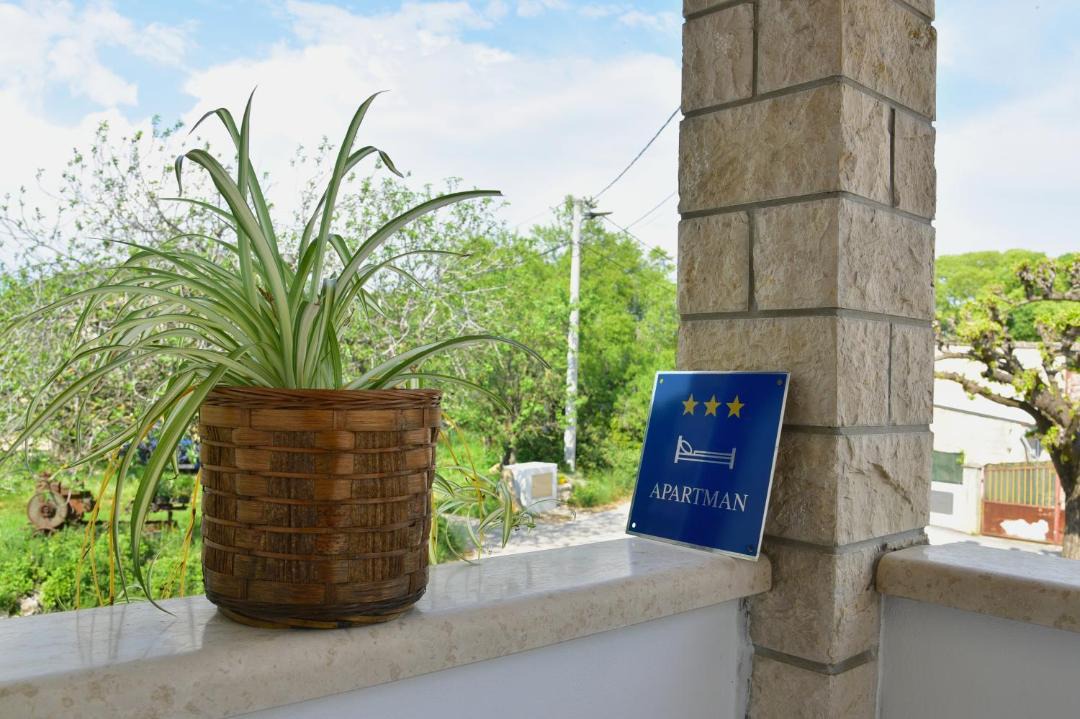 Photo of Others in Kosinozici