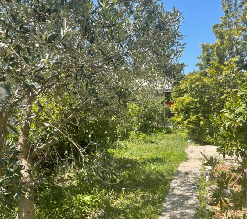 Photo of Outdoor in Rudine