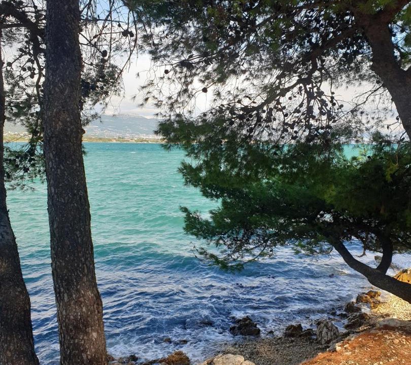 Photo of Others in Trogir