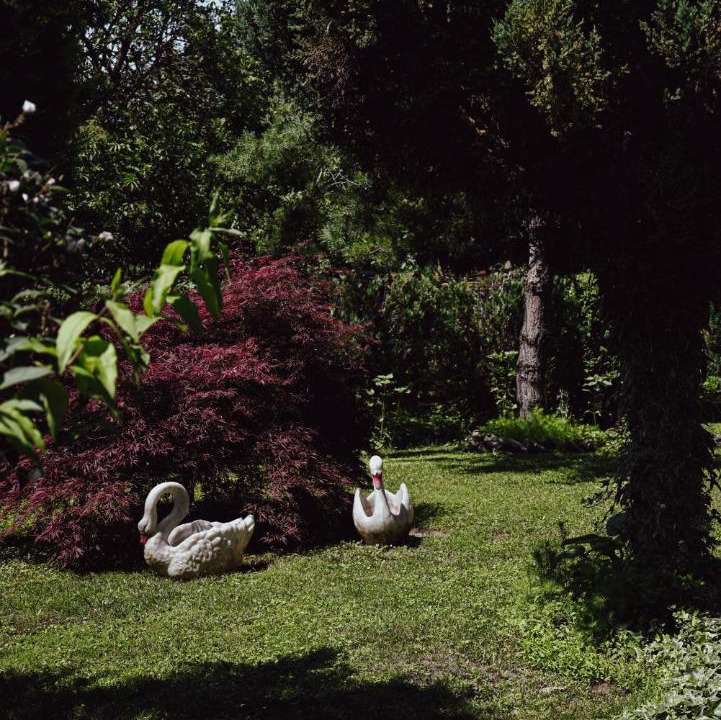 Photo of Others in Velika Gorica