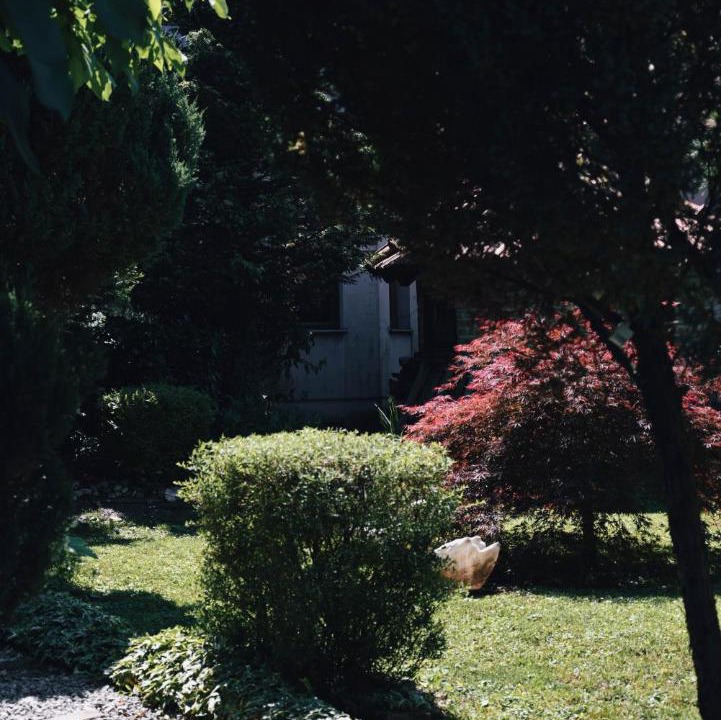 Photo of Others in Velika Gorica