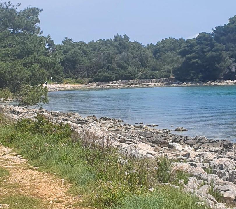 Photo of Outdoor in Muline