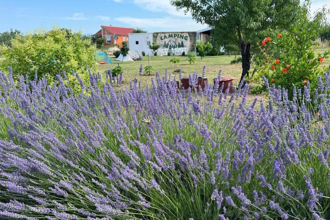 Photo of Others in Murvica
