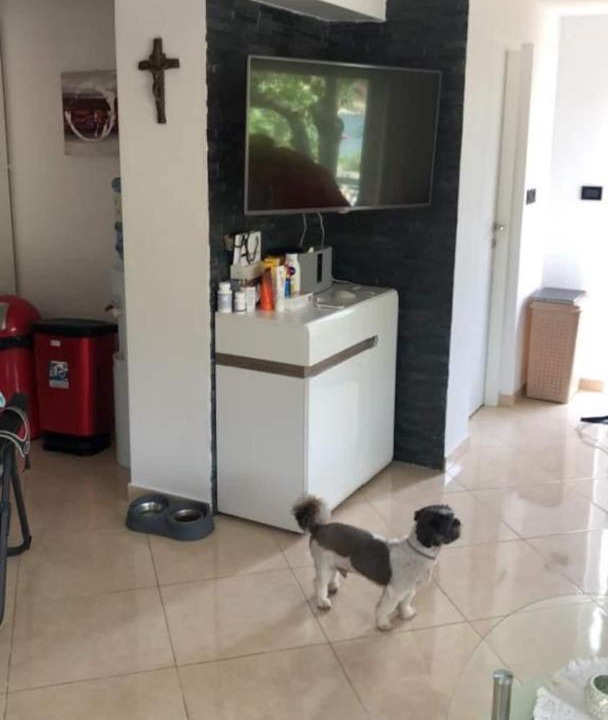 Photo of Livingroom in Krusevo
