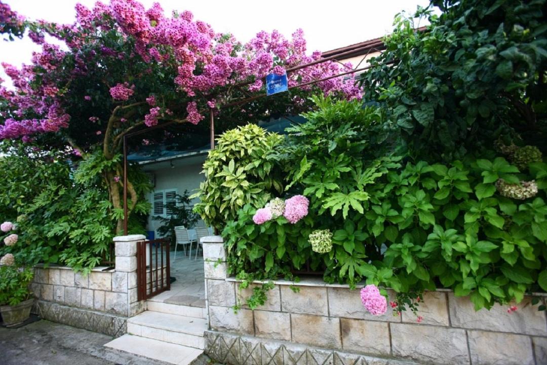 Photo of Others in Loviste