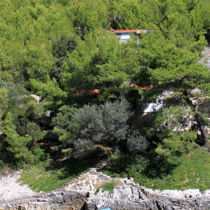 Photo of Others in Zrnovo