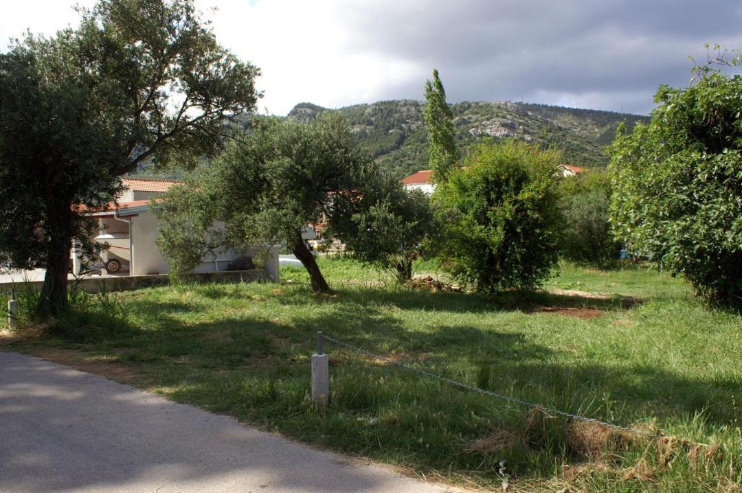 Photo of Others in Zuljana