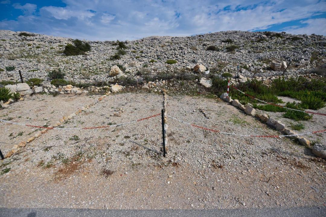 Photo of Others in Vidalici