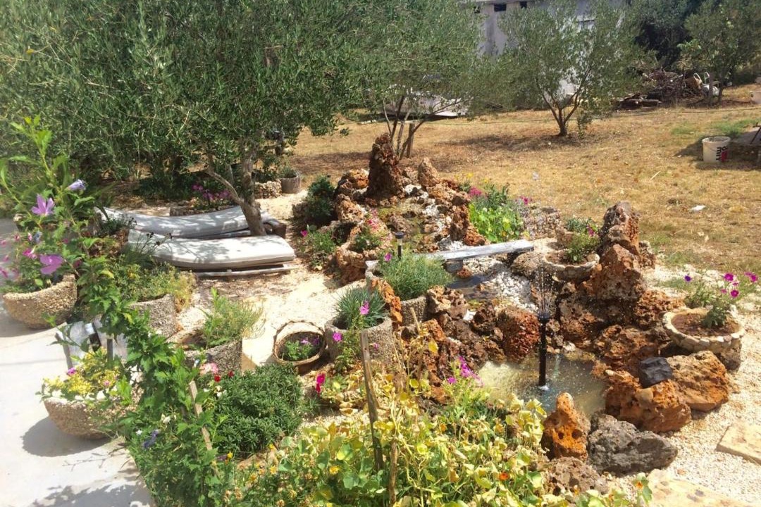 Photo of Others in Seline