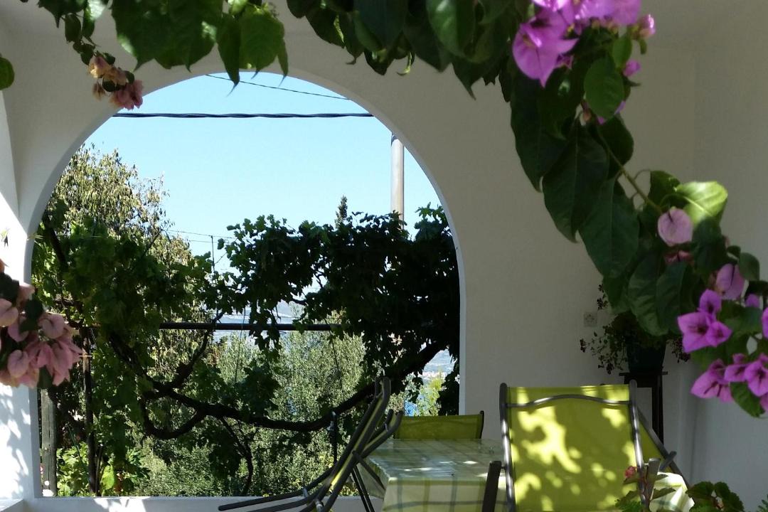 Photo of Others in Arbanija