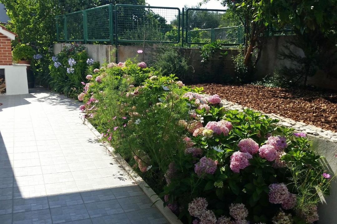 Photo of Others in Arbanija