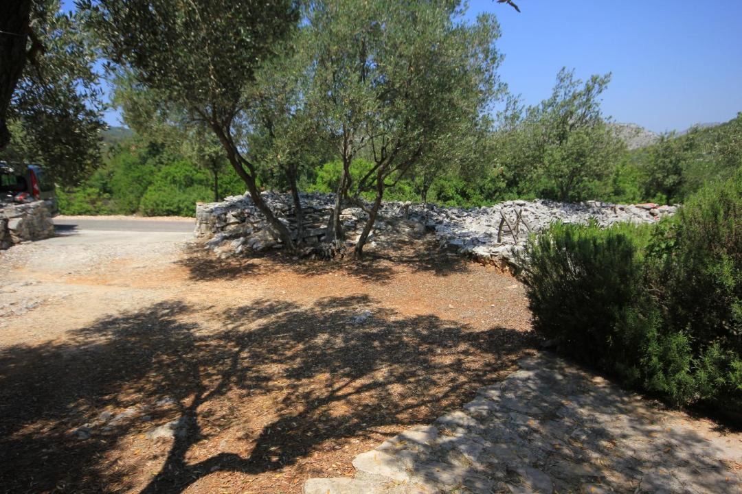 Photo of Others in Island Dugi Otok