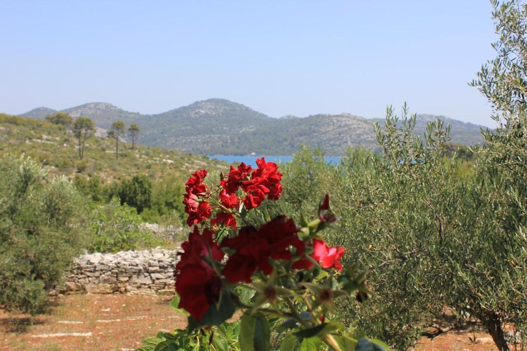 Photo of Others in Island Dugi Otok
