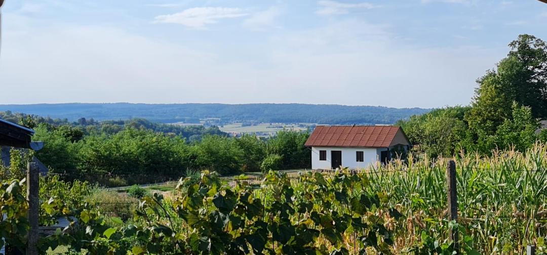 Photo of Others in Koprivnica