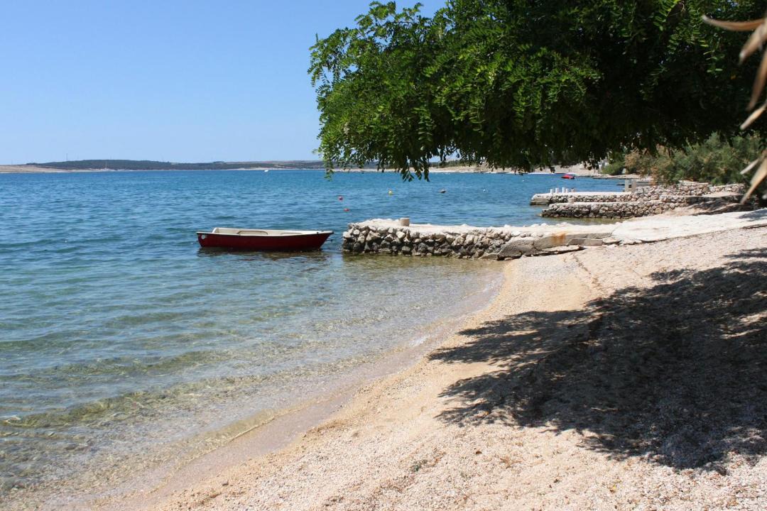 Photo of Others in Vidalici