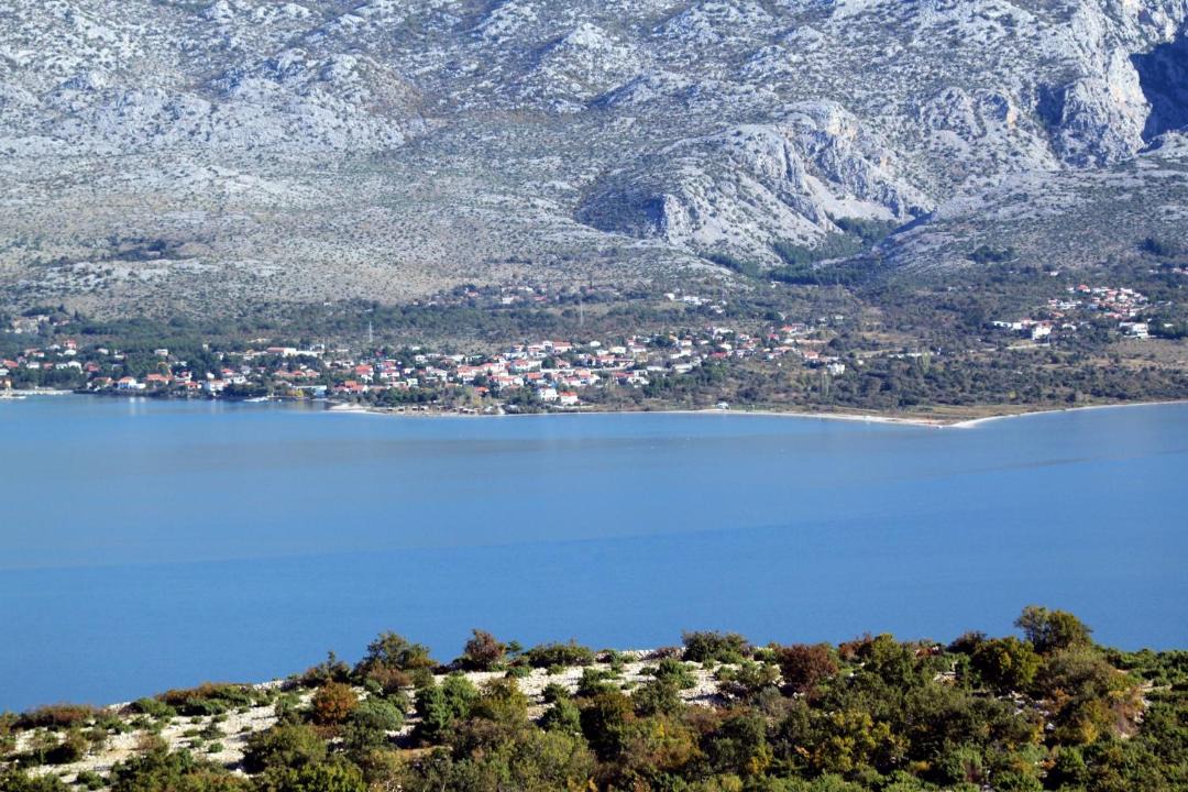 Photo of Others in Seline