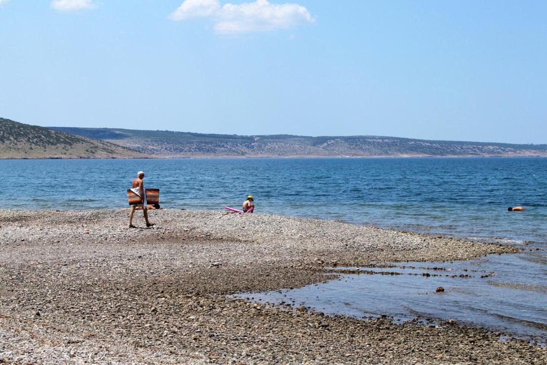 Photo of Others in Seline