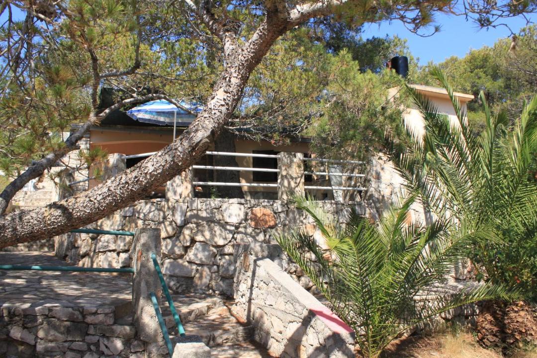 Photo of Others in Island Dugi Otok