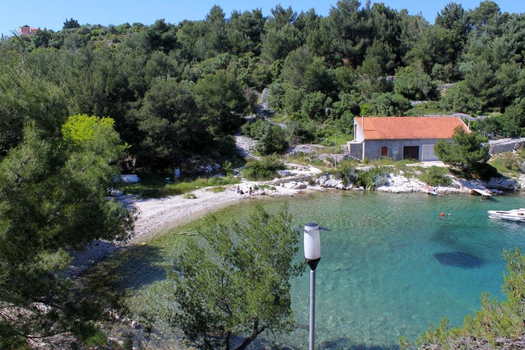 Photo of Others in Cove Murtar