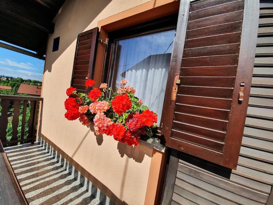 Photo of Patio Balcony in Netretic