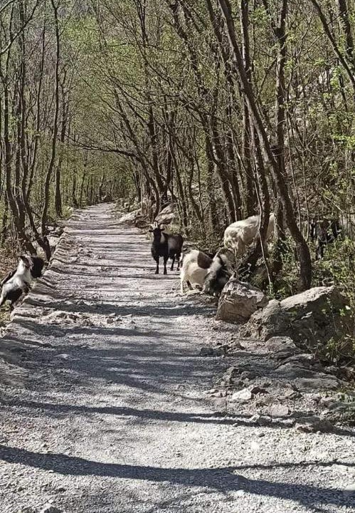 Photo of Others in Seline