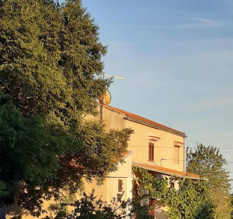 Photo of Others in Loznati