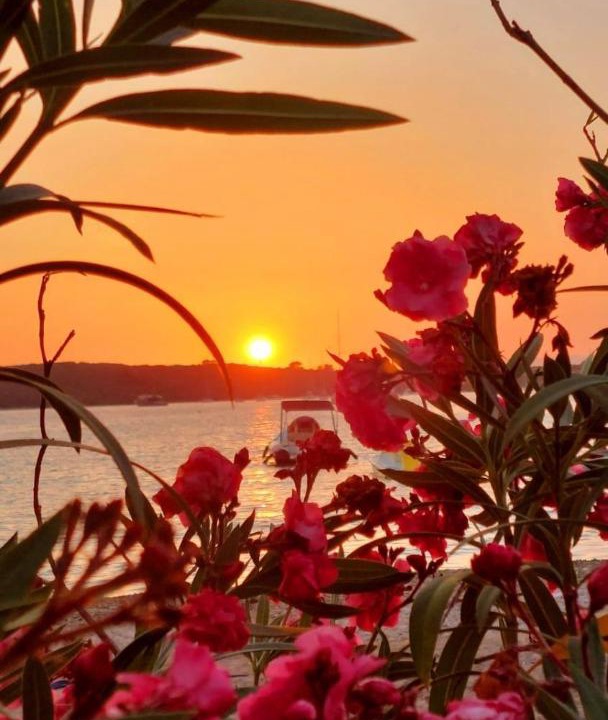 Photo of Others in Loviste