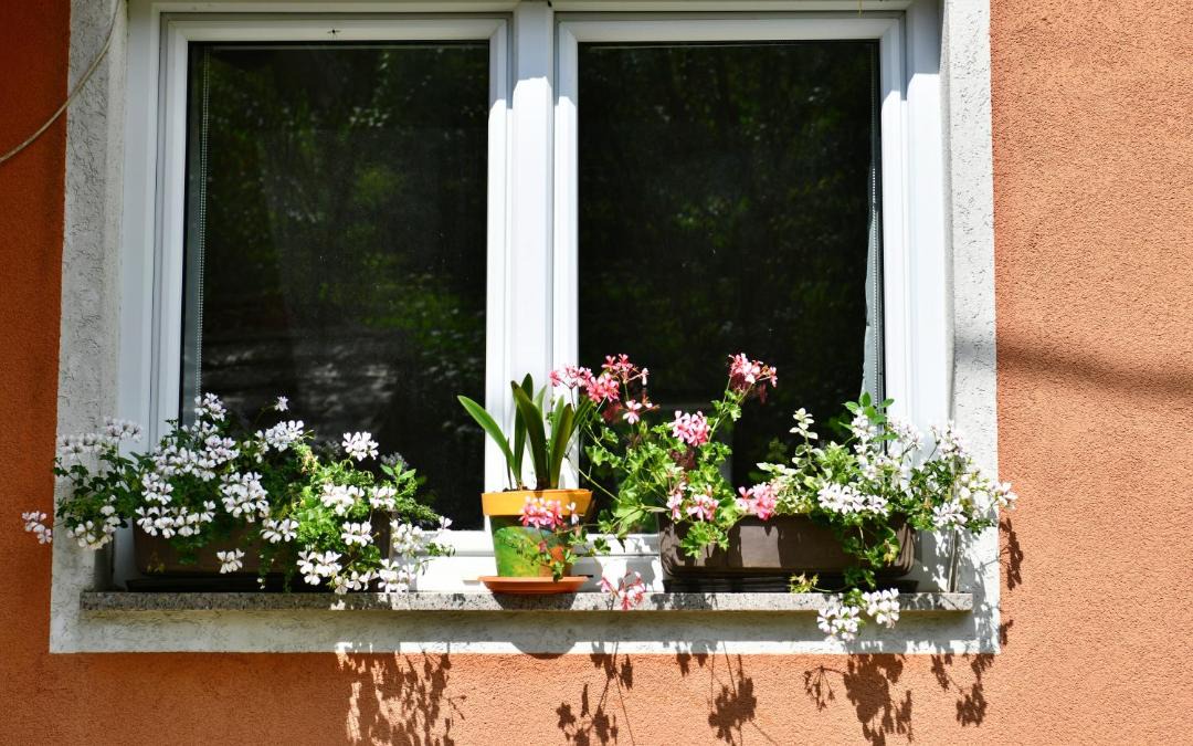 Photo of Others in Saborsko