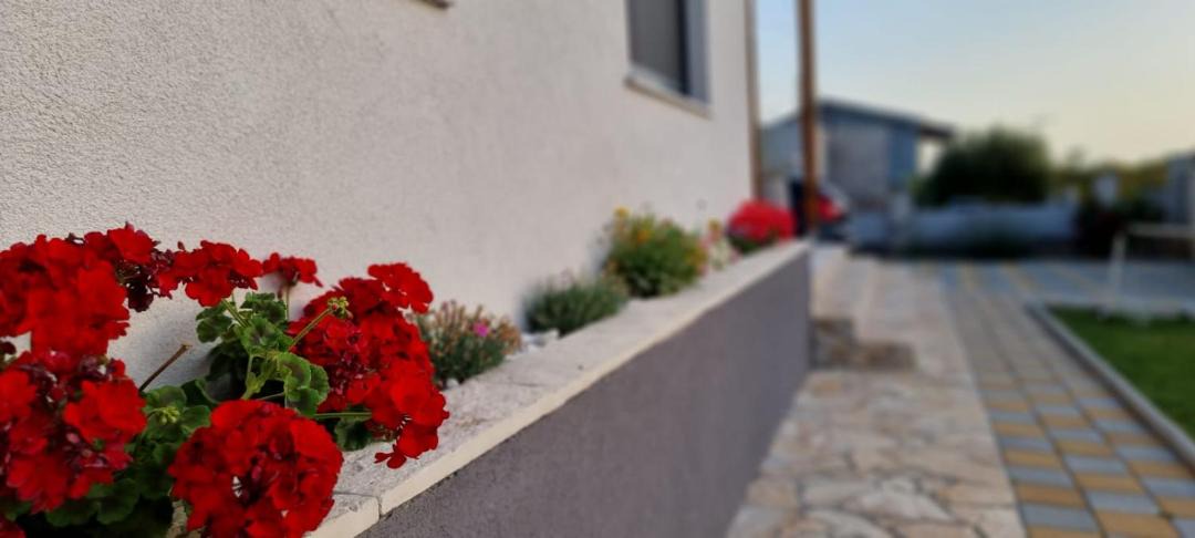 Photo of Others in Murvica