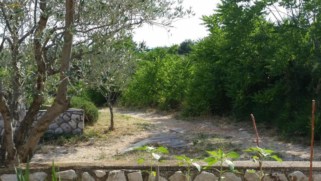 Photo of Others in Cres